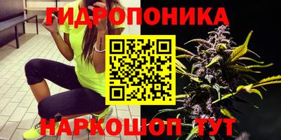 стаф Обь