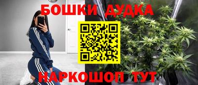 стаф Обь