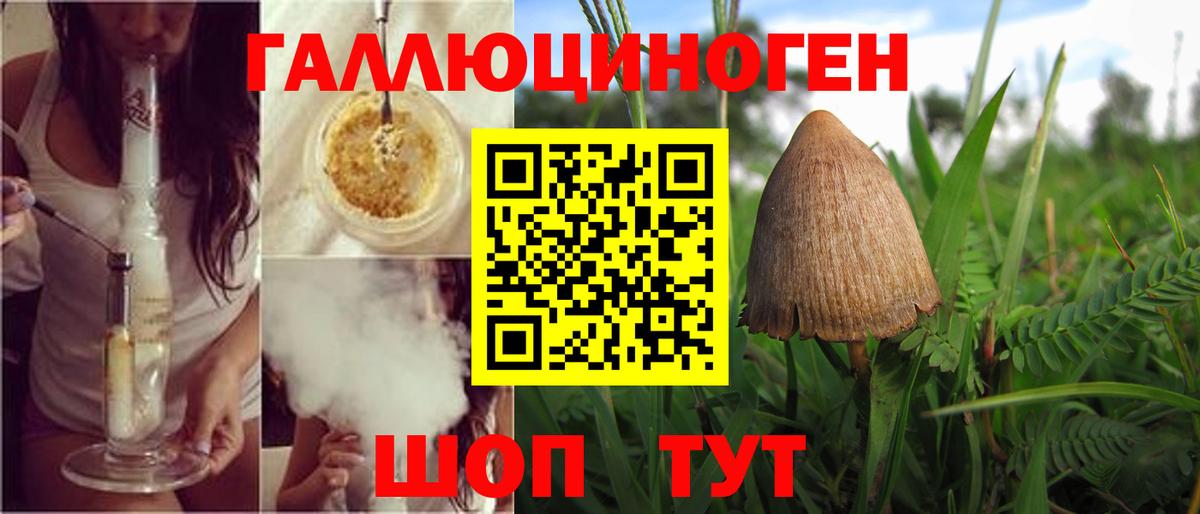 где купить   Галлюциногенные грибы Psilocybe  Вход с VPN  Галлюциногенные грибы мухоморы  Самара 